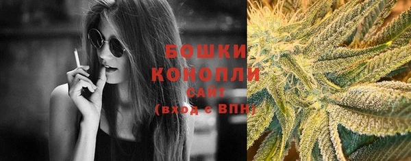 амф Аркадак